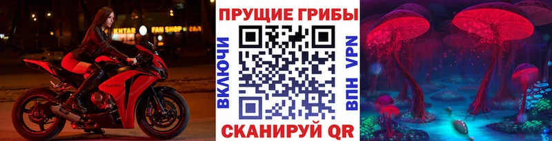 Галлюциногенные грибы Cubensis  Михайлов 
